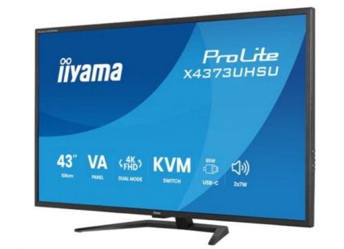 Monitor LED 43" iiyama ProLite X4373UHSU-B2 4K 60 Hz VA