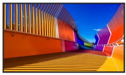Monitor Profissional 50" Sharp MultiSync E509