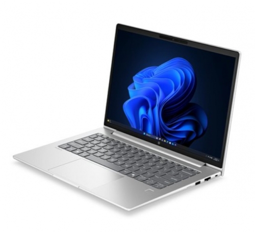 Portátil HP ProBook 4 G2a Notebook AI Ryzen 5 230 Win 11 Pro 16GB 512GB 14" IPS PT DU9R7AT