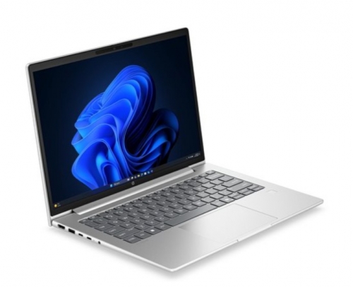 Portátil HP ProBook 4 G2a Notebook AI Ryzen 5 230 Win 11 Pro 16GB 512GB 14" IPS PT DU9R7AT