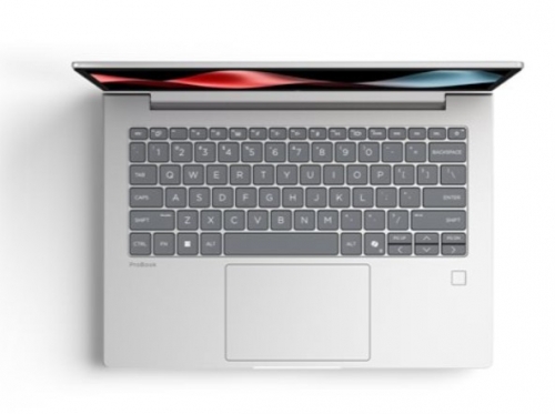 Portátil HP ProBook 4 G2a Notebook AI Ryzen 5 230 Win 11 Pro 16GB 512GB 14" IPS PT DU9R7AT