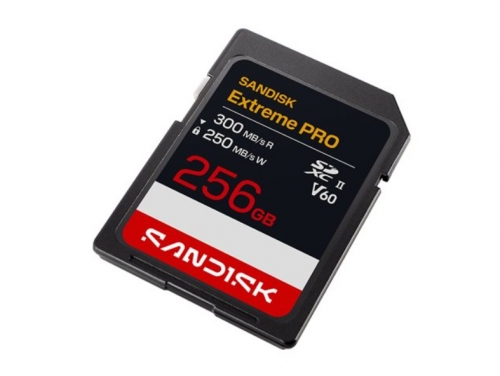 Cartão de memória SanDisk Extreme PRO SDXC 256GB, UHS-II, U3, V60, até 300 MB/s - SDSDXEM-256G-GN4IN