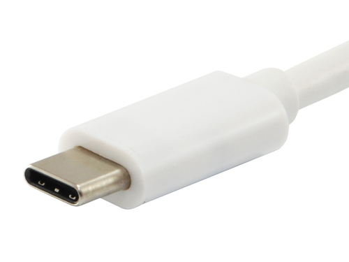 USB 3.1 Cable C->C M/M 1,0m Platinum Type C