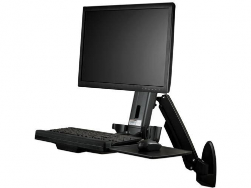 Startech Suporte de Monitor WALLSTS1