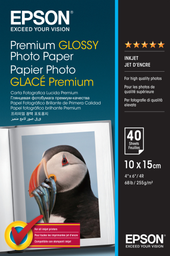 Epson Papel Premium Glossy Pht 10X15 40FLS 255G - C13S042153