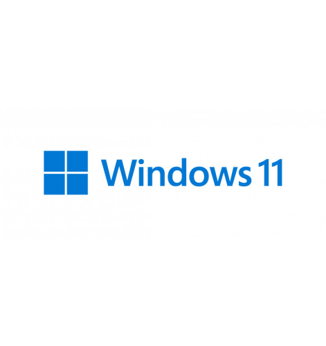 Windows 11 Pro GGK 64Bit PT 1pk DSP ORT OEI DVD