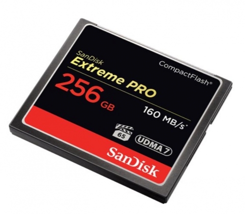 Cartão de memória flash 256 GB CompactFlash SanDisk - SDCFXPS-256G-X46