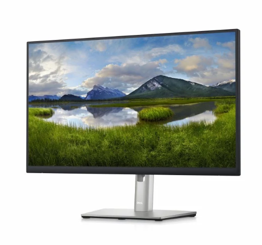 MONITOR DELL 24 polegadas P2423DE