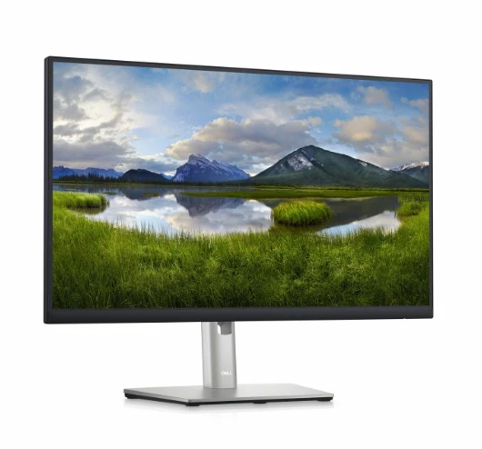 MONITOR DELL 24 polegadas P2423DE