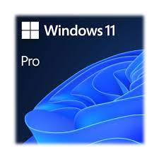 Windows 11 Pro FPP 64-bit Inglês Intl USB